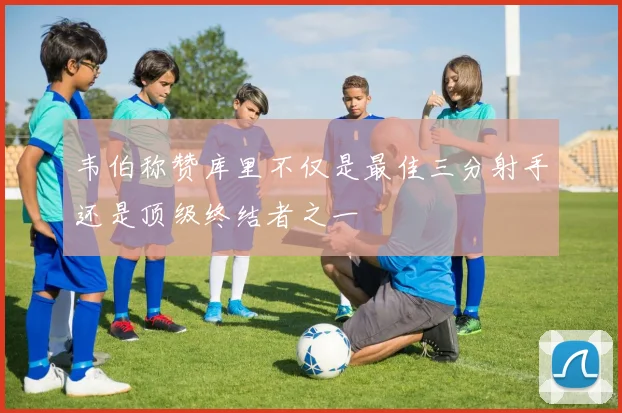韦伯称赞库里不仅是最佳三分射手还是顶级终结者之一