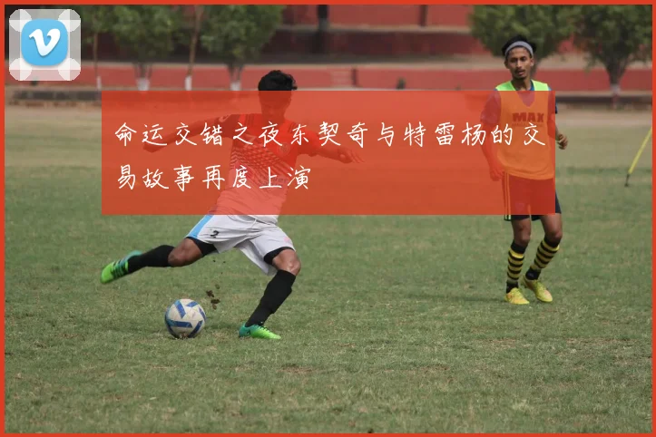 命运交错之夜东契奇与特雷杨的交易故事再度上演